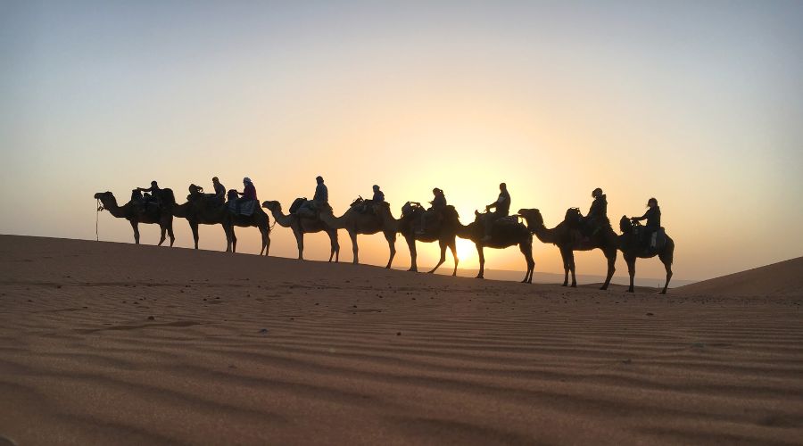 12-Day Tour From Casablanca​