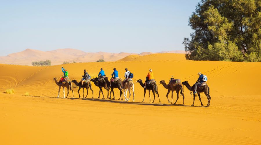 4-Day Marrakech to Merzouga Tour