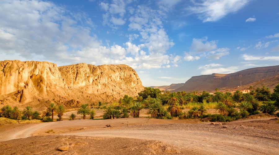 6-Day Fes To Marrakech Tour​