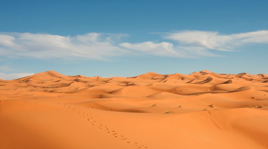 8-Day Tour From Casablanca