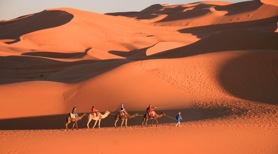 8-Day Tour From Fes​